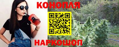 индика Конаково