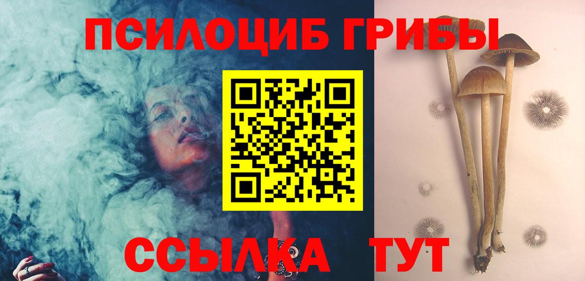 Псилоцибиновые грибы прущие грибы  Галлюциногенные грибы Cubensis  Вход с VPN  Черногорск 