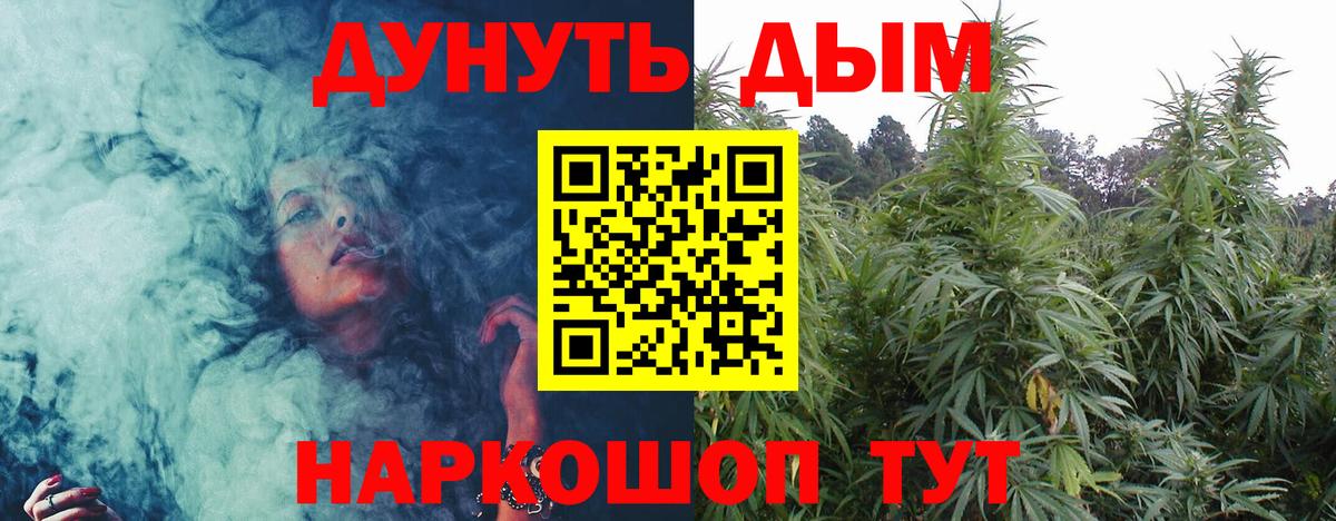 Бошки марихуана OG Kush Черногорск
